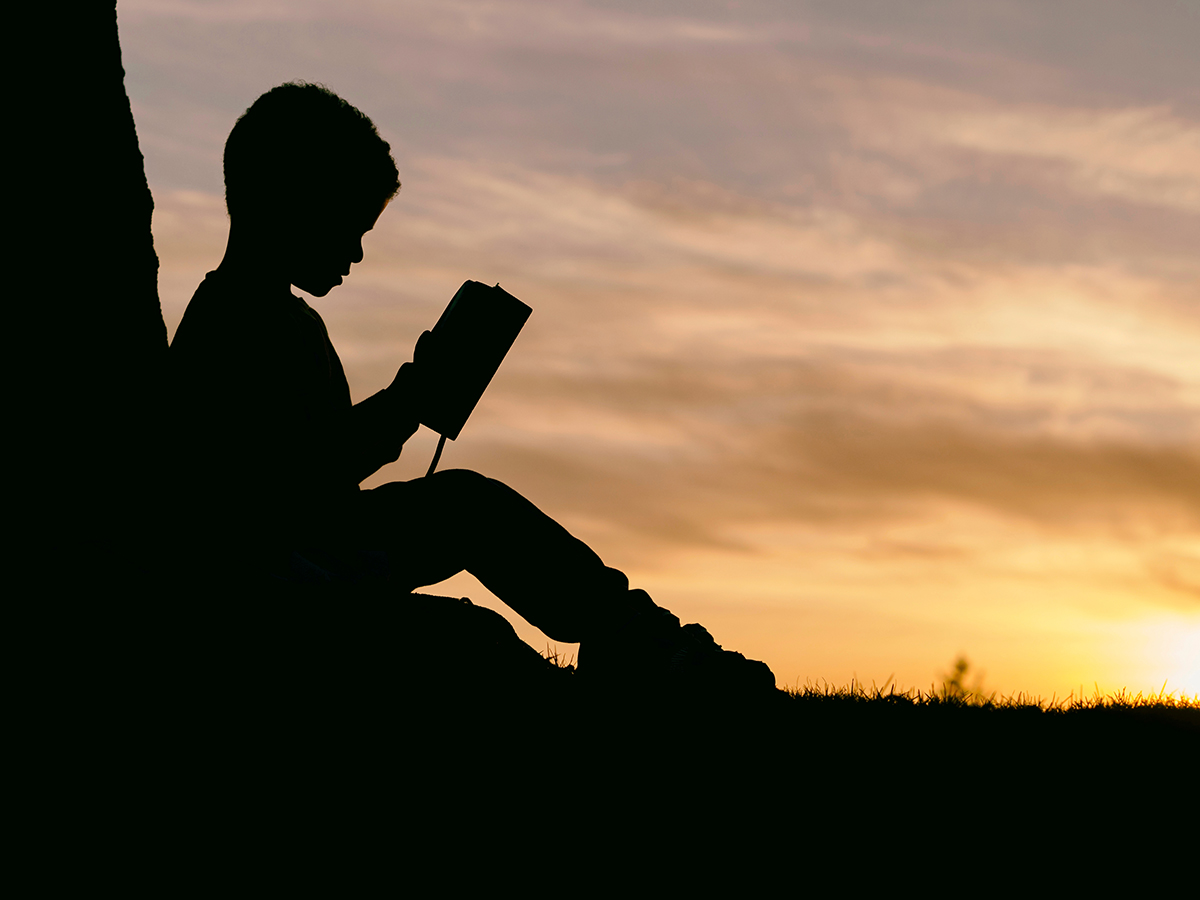 Boy reading web