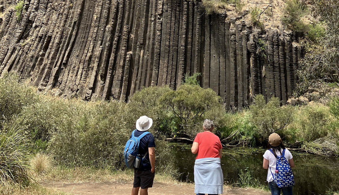 Organ pipes